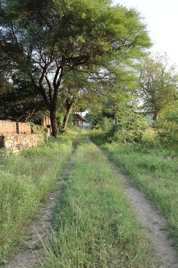 Vache Farm Stay Ουνταϊπούρ Εξωτερικό φωτογραφία